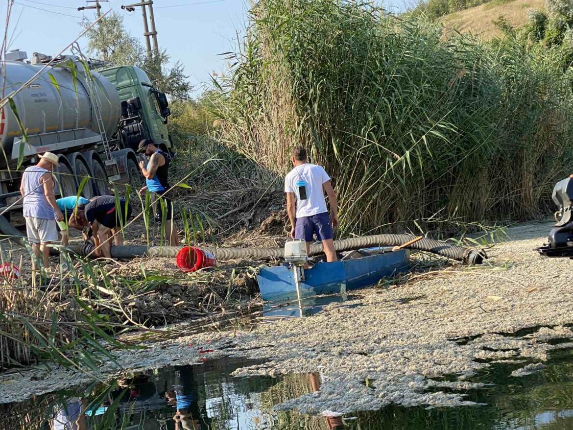 ezero mladost foto Olgica Naumovska