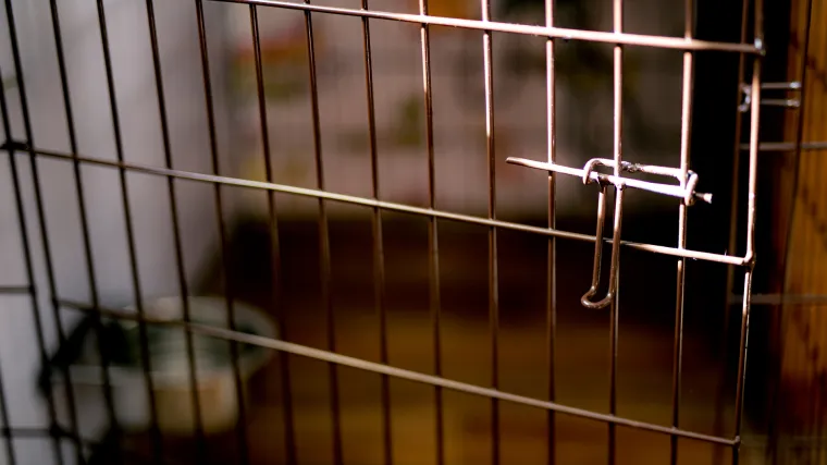 H-be3b3e43-fa12-4b57-acae-909eb97d0b46-760