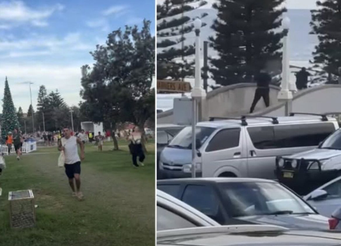 text___max_1433_1031